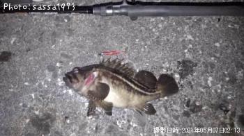 ���ޥ���