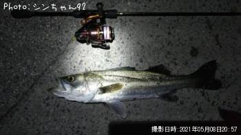 �����Х�