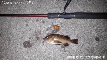 ¥¨¥¾¥á¥Ð¥ë