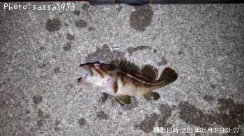 ���ޥ���