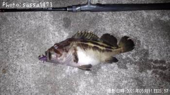 ���ޥ���