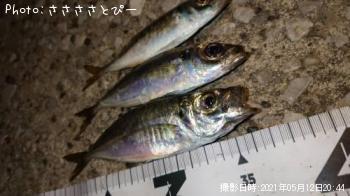 ¥¢¥¸¡õ¥á¥Ð¥ë