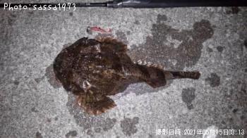 �ȥ�������