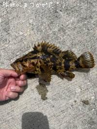 �٥å�������