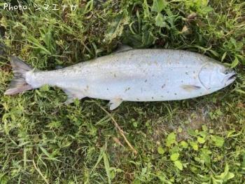 ������ޥ�