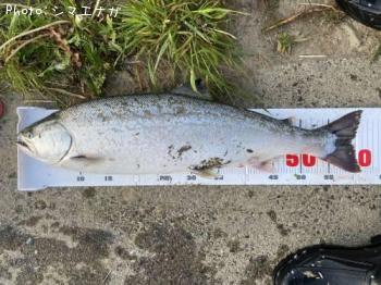 ������ޥ�