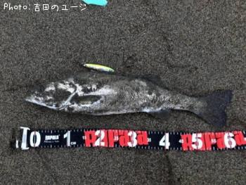 �����Х�