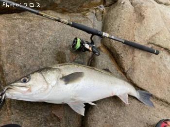 �����Х�