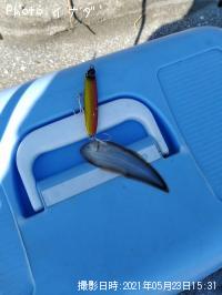 ¥Õ¥é¥Ã¥È¥Õ¥£¥Ã¥·¥å