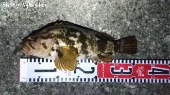 �����Υ���Х�