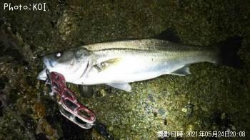 �����Х�