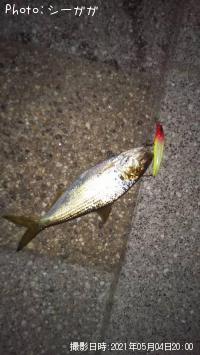 ���Υ���