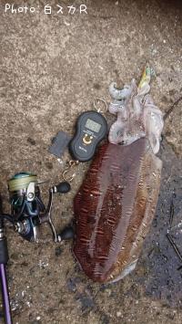 ���ߥʥꥤ��