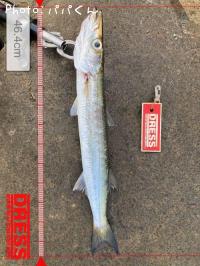 ¥¿¥¤¥ï¥ó¥«¥Þ¥¹