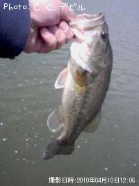 ¥Ö¥é¥Ã¥¯¥Ð¥¹