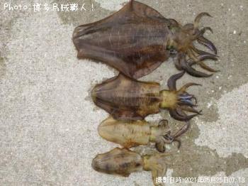 �����ꥤ��