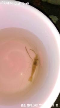 �ƥʥ�����