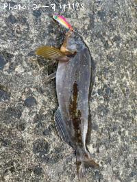 �����ʥ�