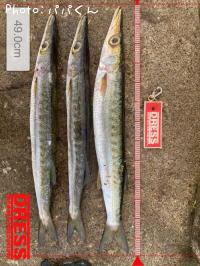 ������󥫥ޥ�