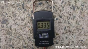 ����䥱����