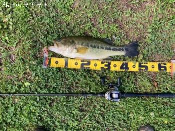 �֥�å��Х�