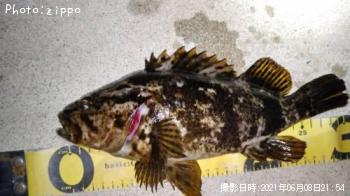 �����Υ���Х�