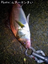 �����Х�