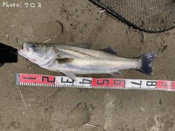 �����Х�