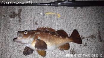 ������Х�