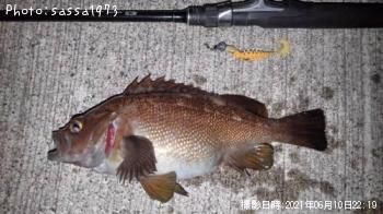 ������Х�