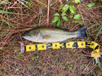 �֥�å��Х�