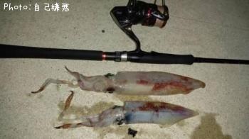 ���󥵥�����