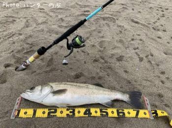 �����Х�