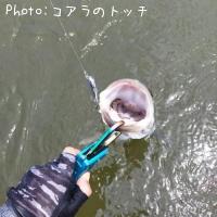 �����Х�