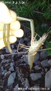 �ƥʥ�����