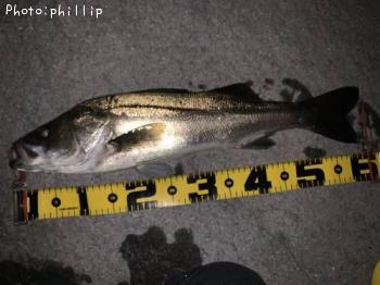 �����Х�