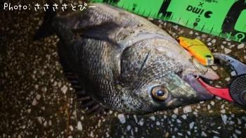 �����������ޥ���