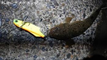 �����������ޥ���