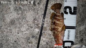 �����ϥ�