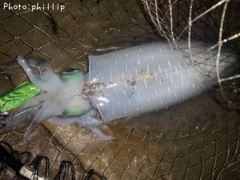 �����ꥤ��