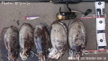 ¥·¥ê¥ä¥±¥¤¥«