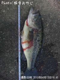 �֥�å��Х�