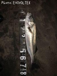 �����Х�