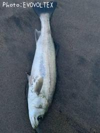 �����Х�