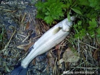 �����Х�