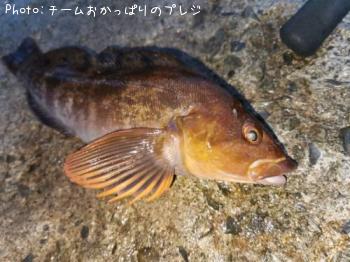 �����ʥ�