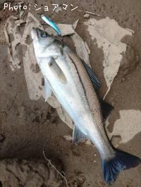 �����Х�