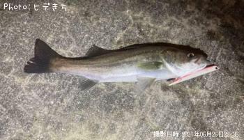 �����Х�