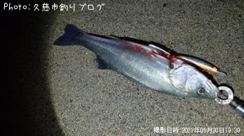 �����Х�