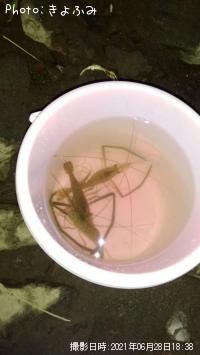 �ƥʥ�����